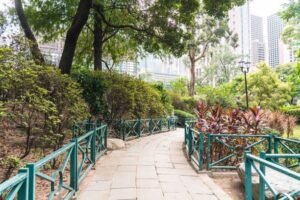 Departamentos en Condesa, CDMX